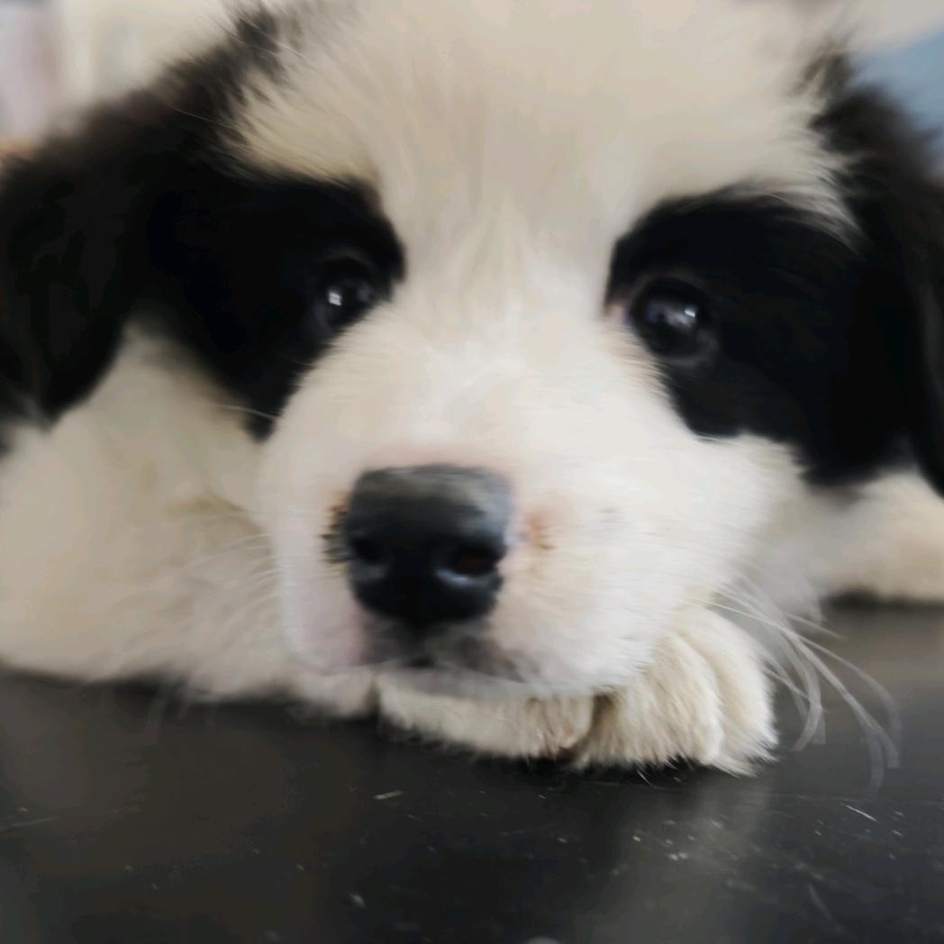 凯斯鲍尔中国·天琦