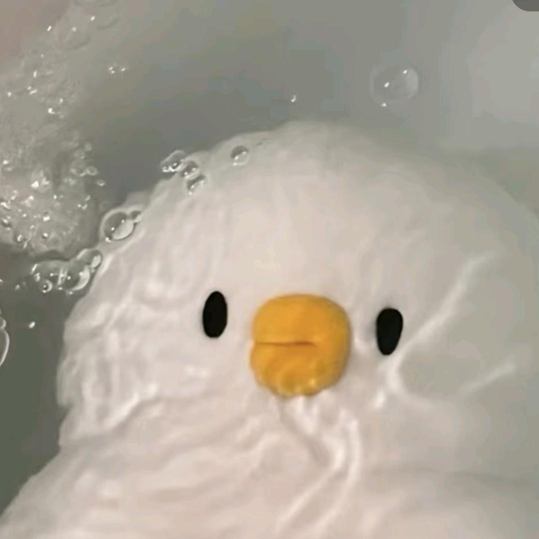 什么？