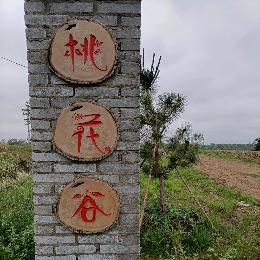 枣阳桃花谷农产品严选