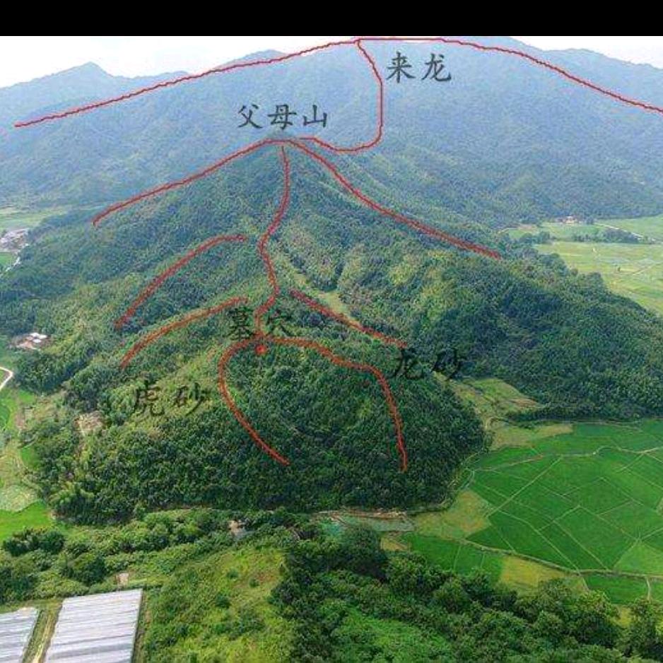 归来禅师