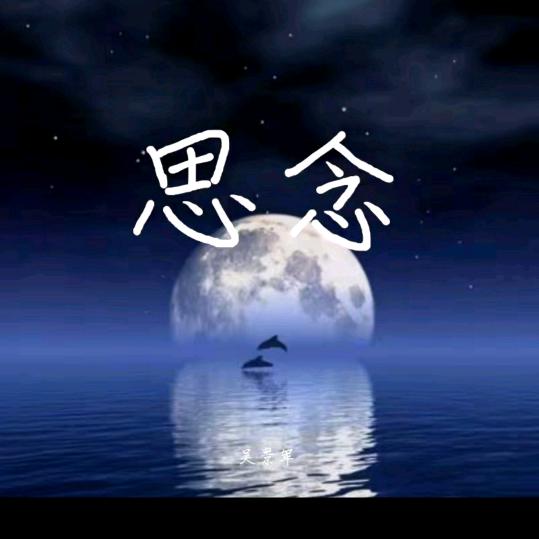 王鹏飞