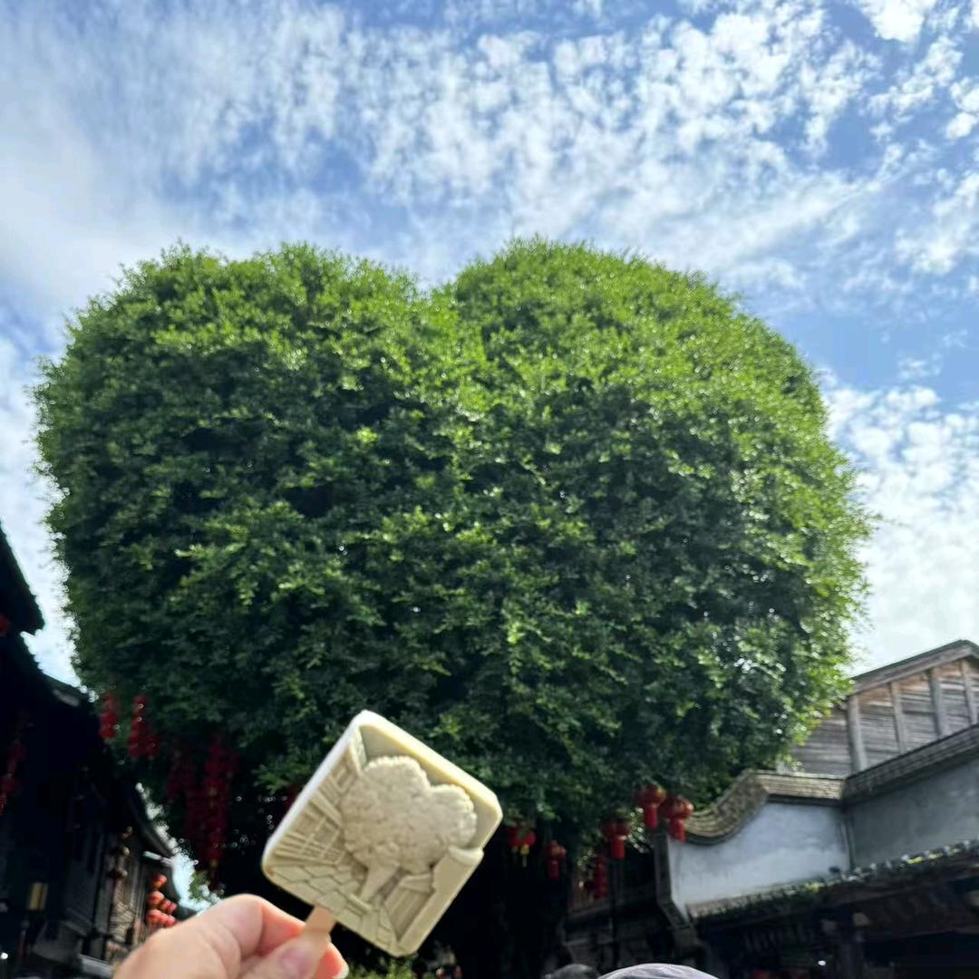 ʚᥫᩣᰱᐝ舍ᩚ弃໊执໌້ᮨ念᭄