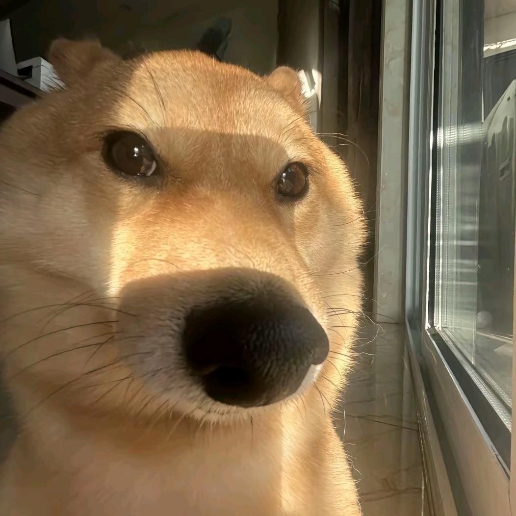 barabarahahaha