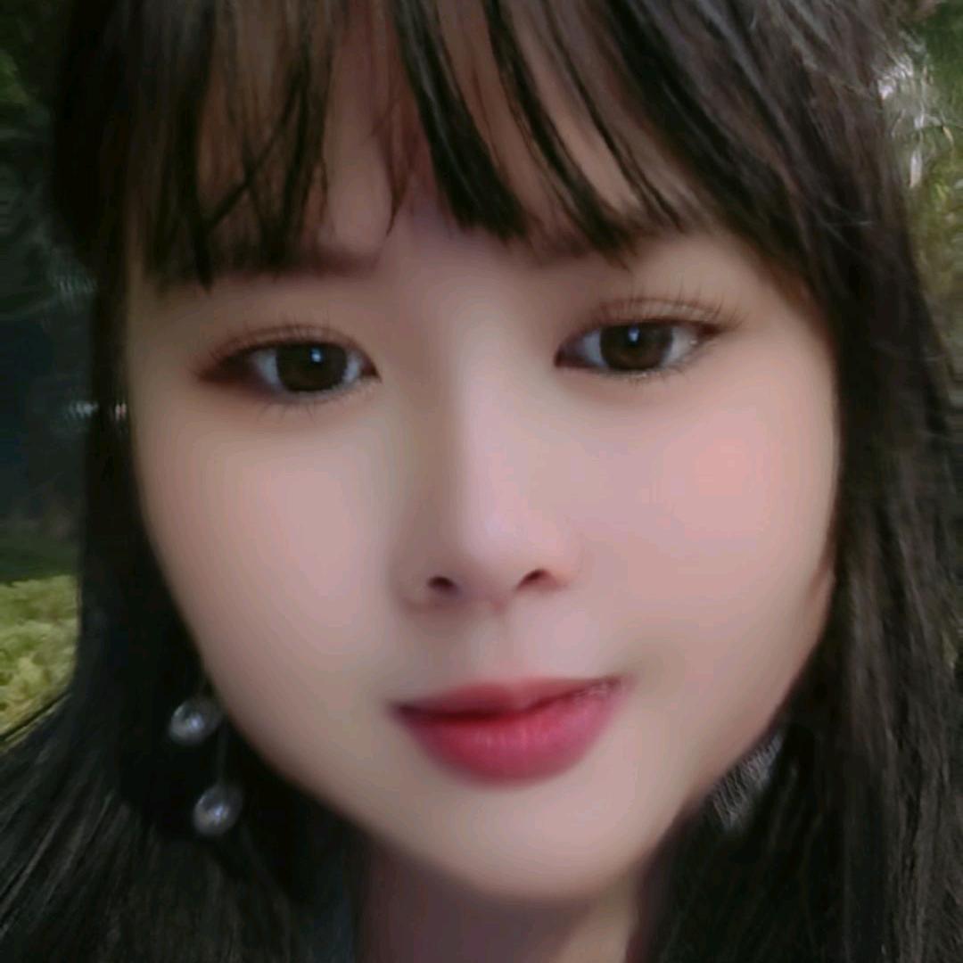 夢蝶花香