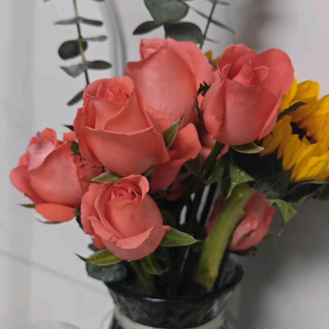 龙华盘曼珠百货店