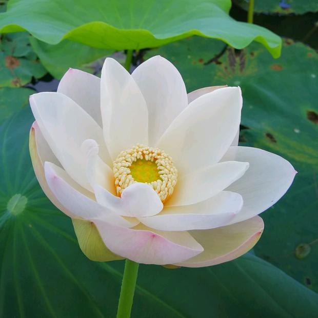 泰和县个性化学习方案尹老师