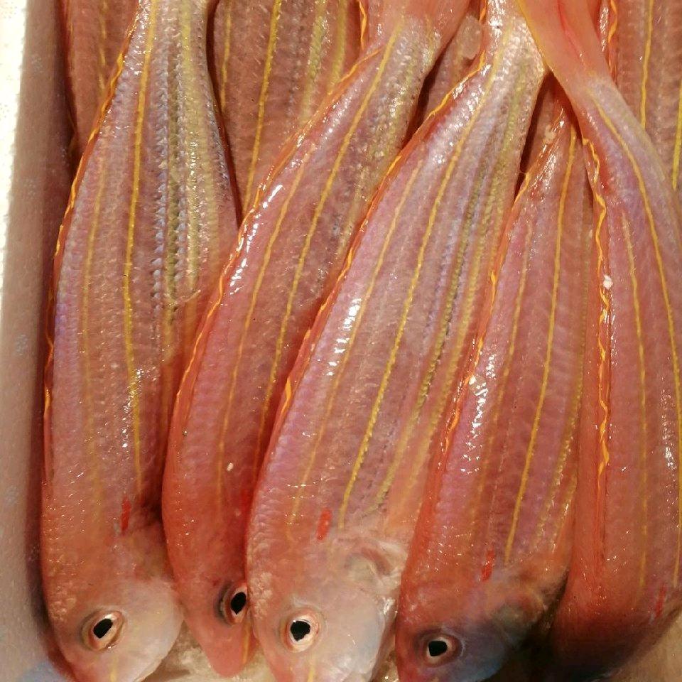 自晒鱼干批发零售