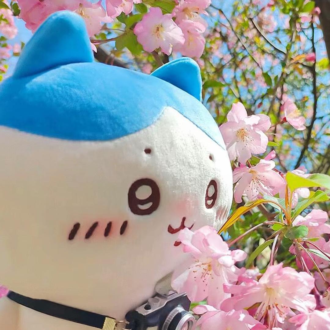 落