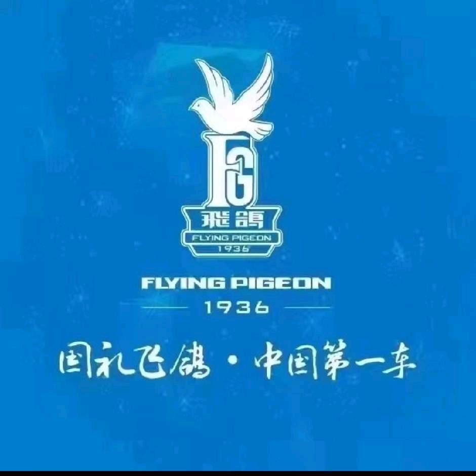 宁津盛景小区山地自行车行