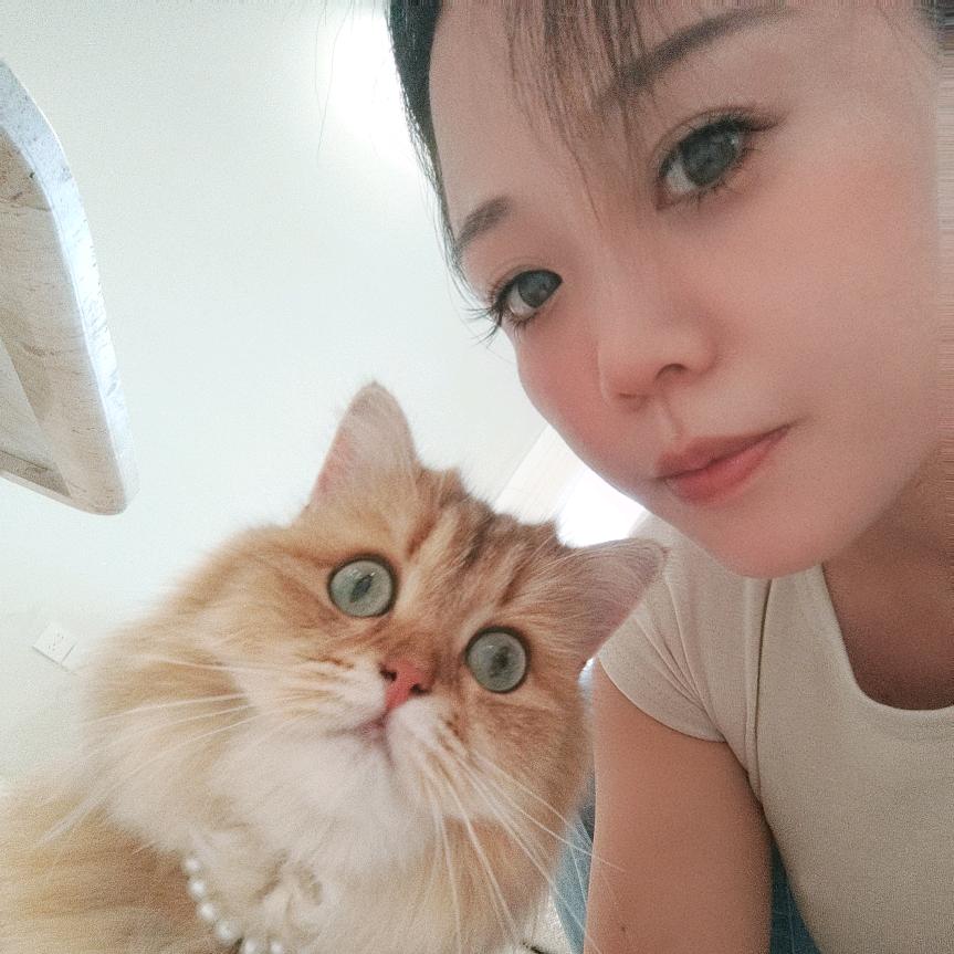 是阿奚阿。