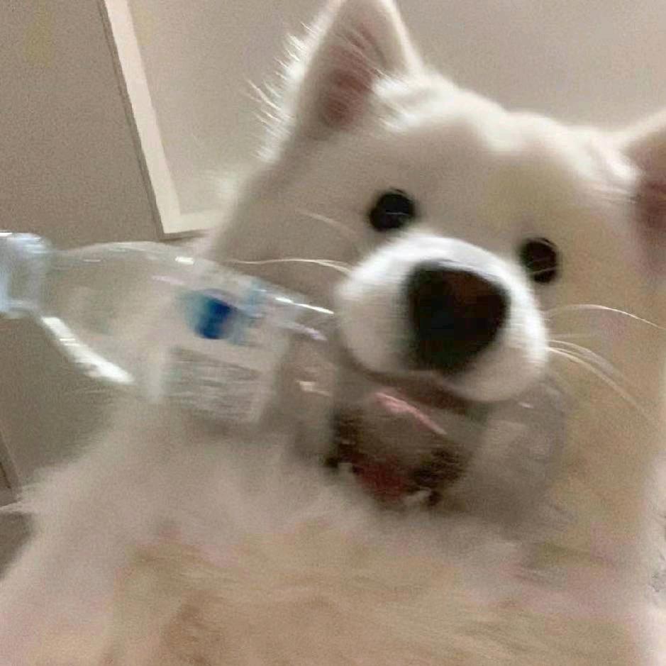 老兵烧烤之卡迪亚分店