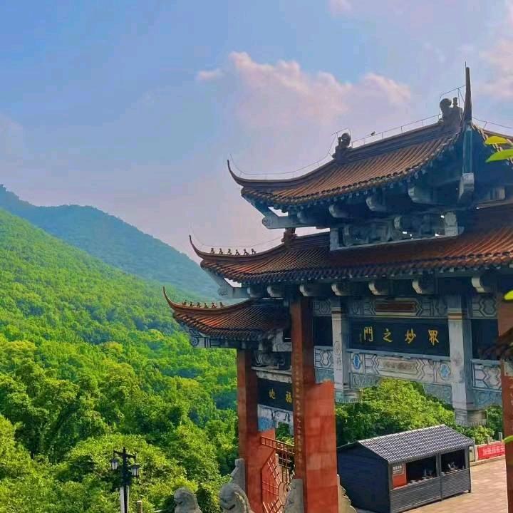道安慧语