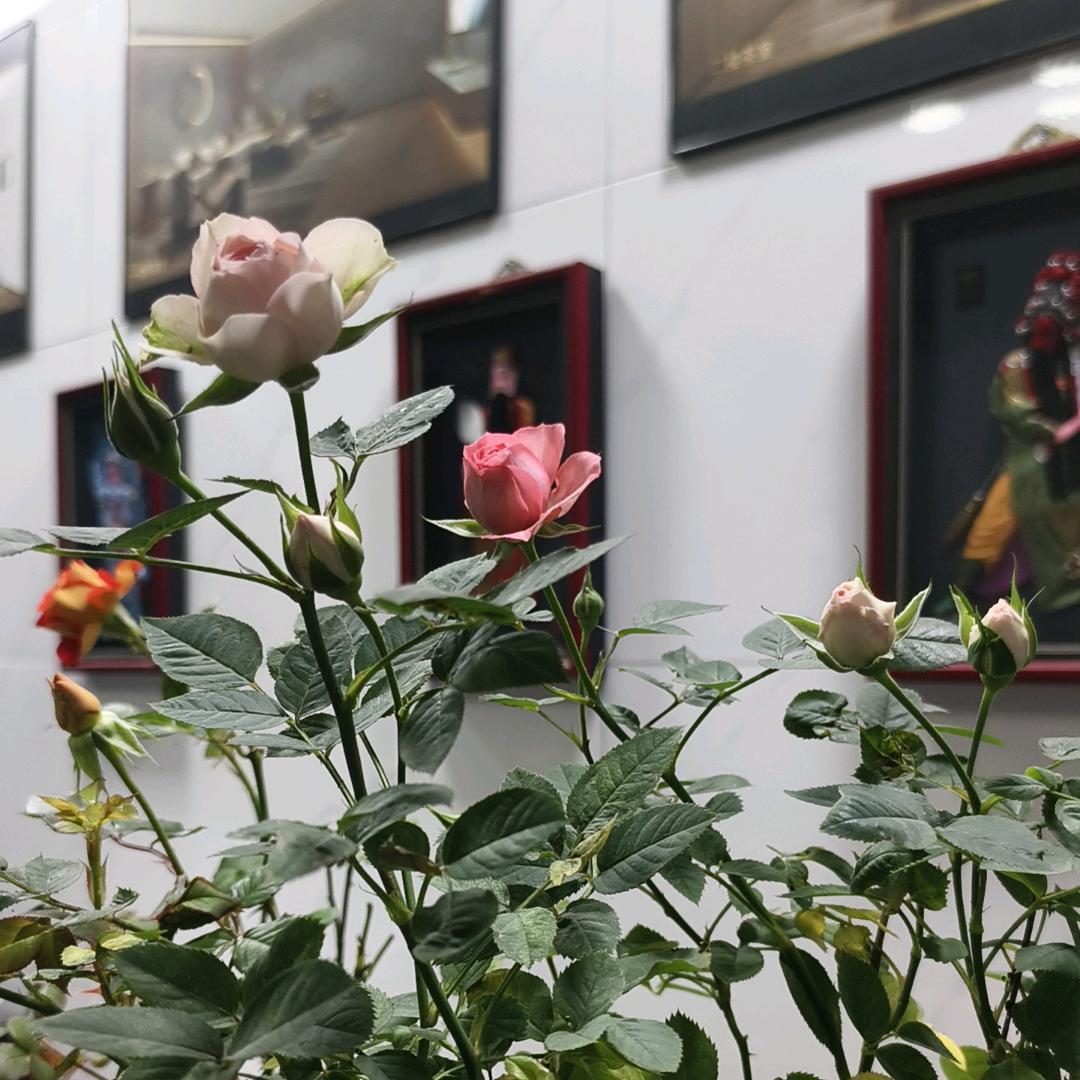 2232216677浩谦装饰丶⺍灬、㦓‘