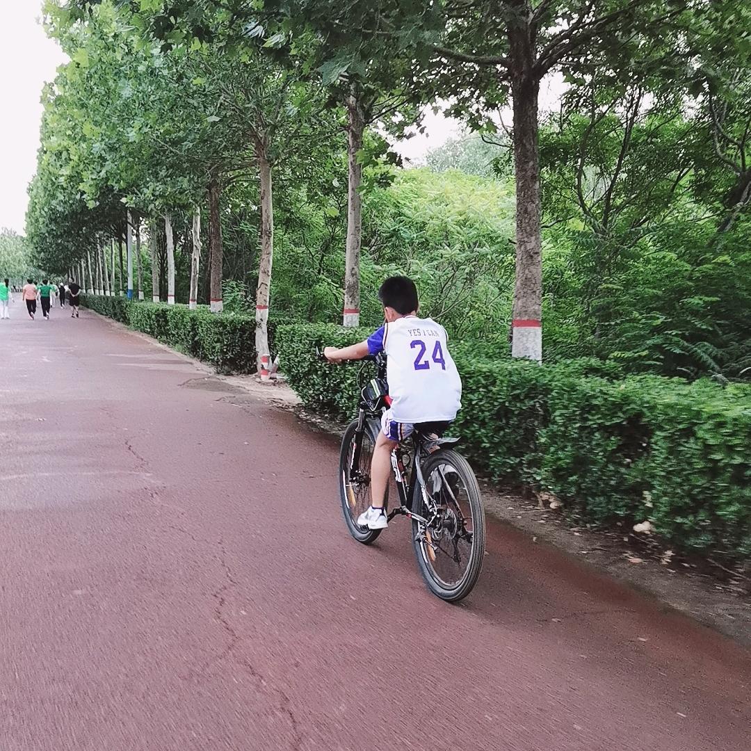 东篱抜眾