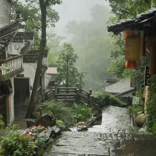 清凉心地