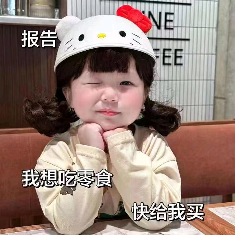 懒猪不懒