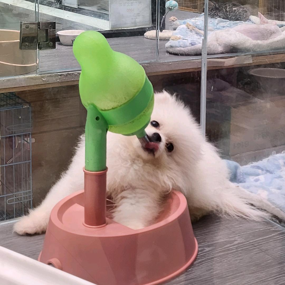 爱运动的我