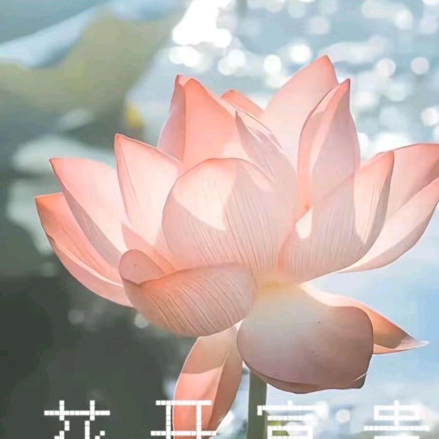 你在看仙女的名字