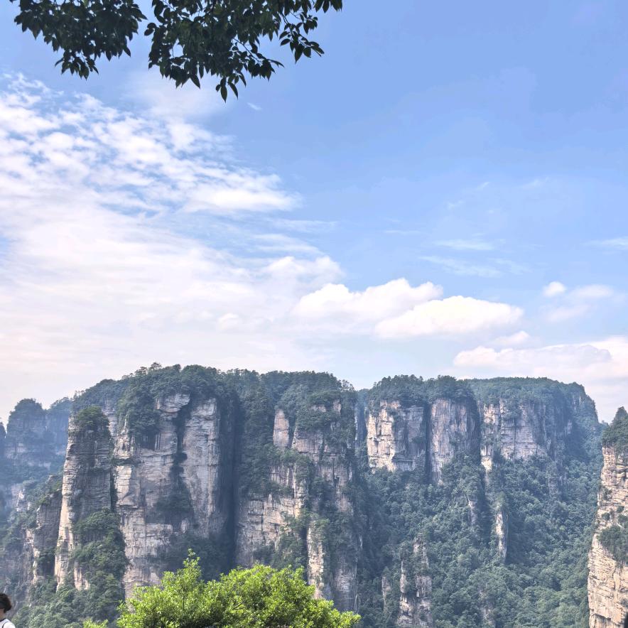 鑫姐瑧选