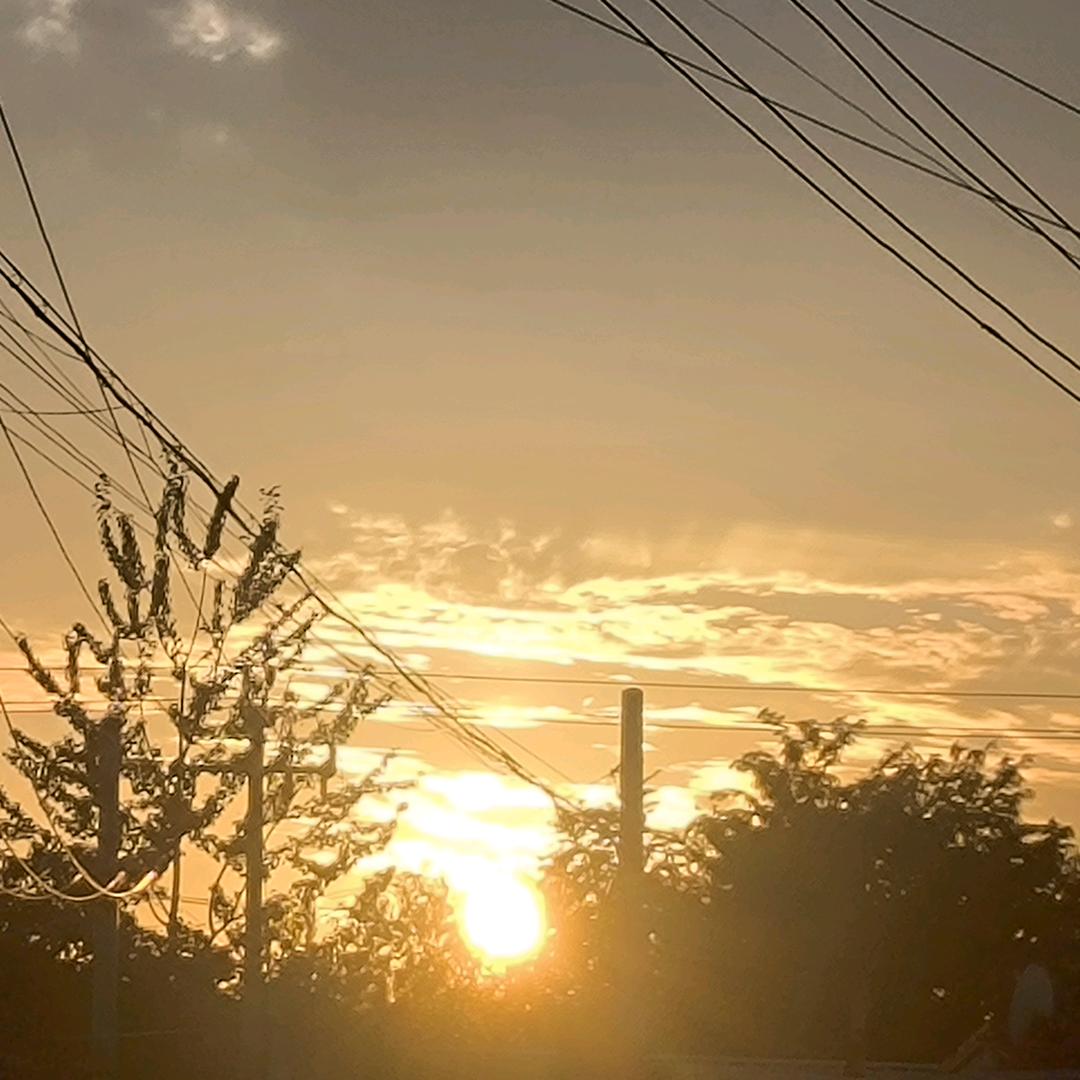 黑与白