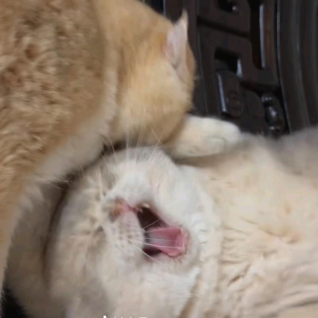 秋不见