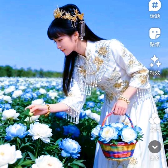 💖白玫瑰💖🕊᭄
