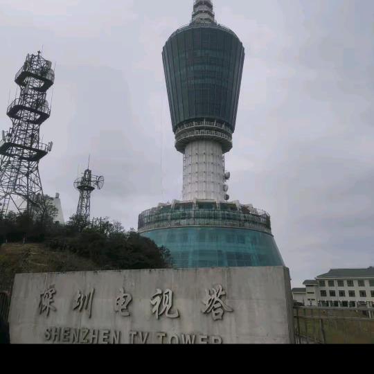 忘掉你的情