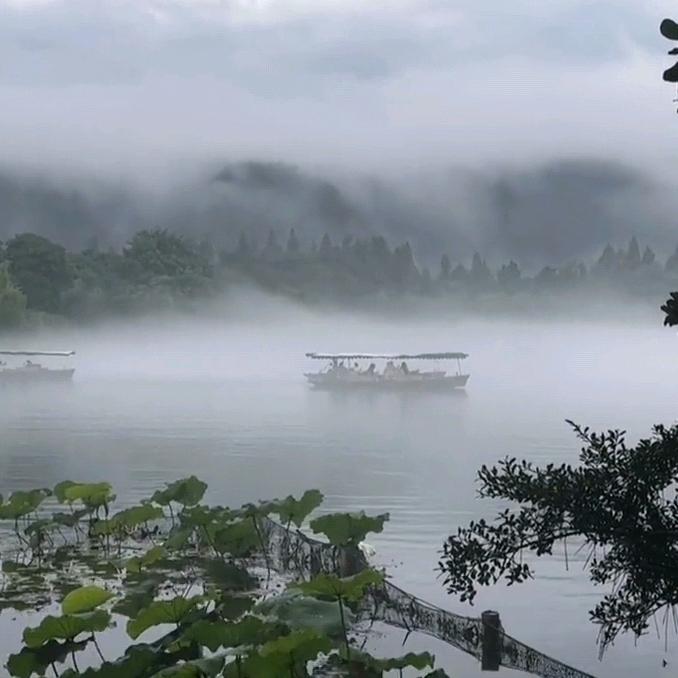 美年大健康芜湖小小苏