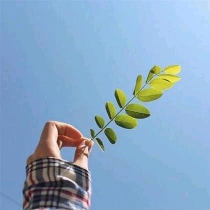 清韵