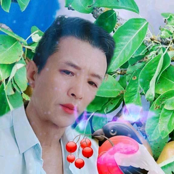 宁愿孤独，