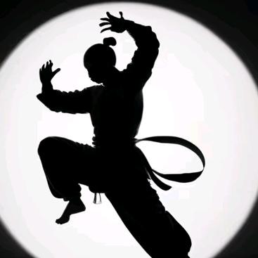 热爱武术的可以交流