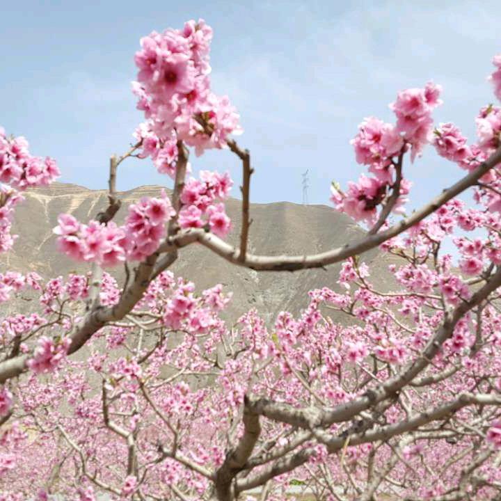默默