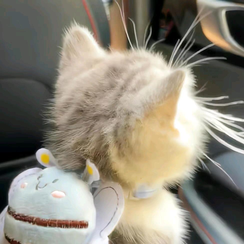 贪嗔痴