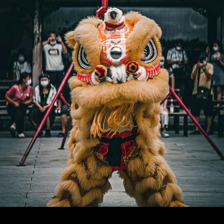 随缘：舞狮，文艺演出