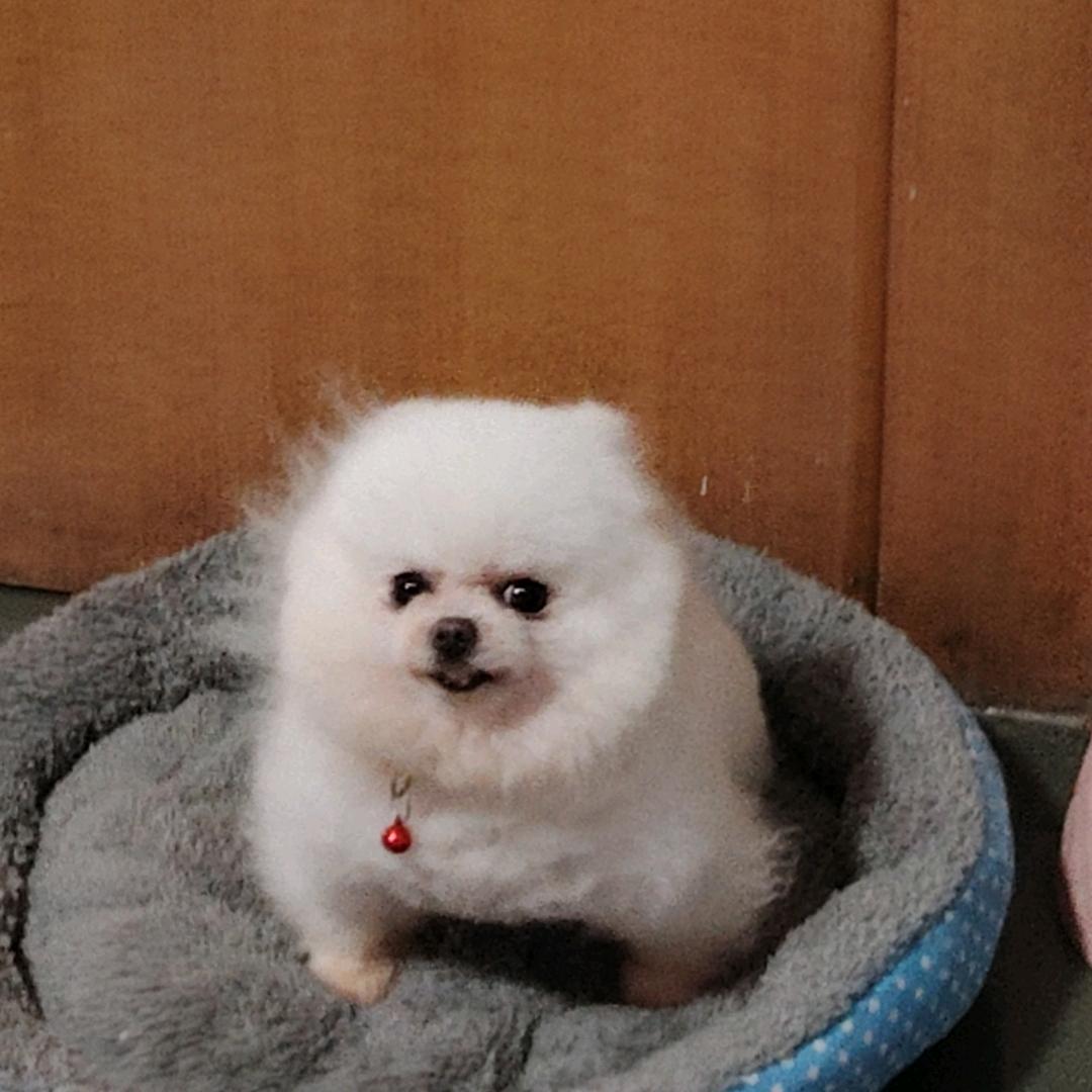 恩典