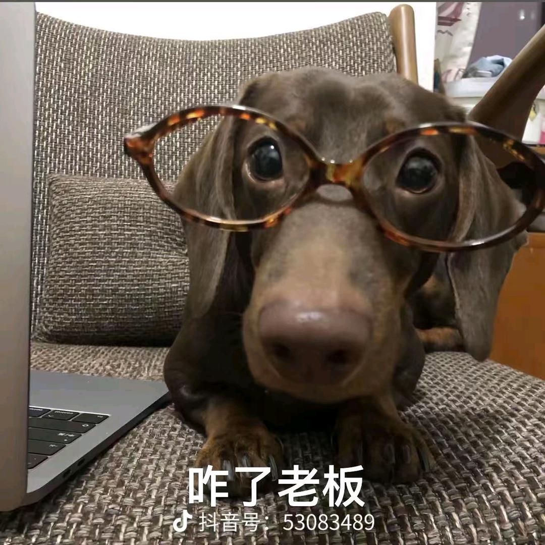 你个撩艹滴