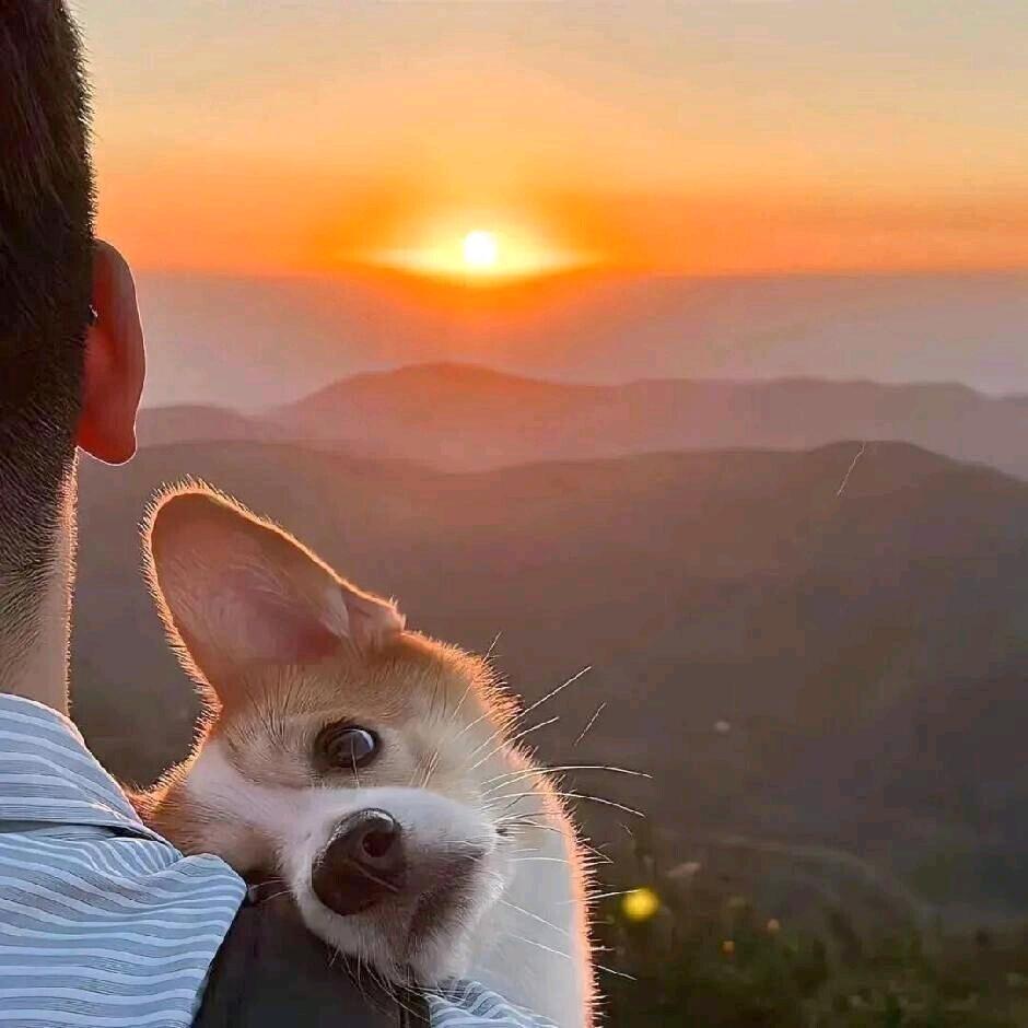 秋๑