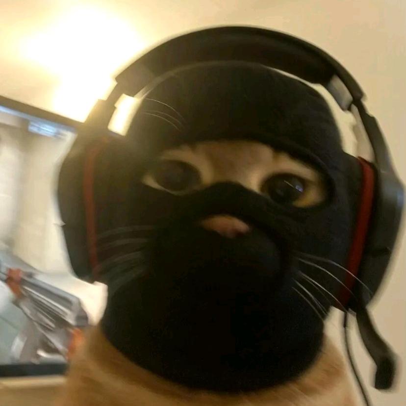 张天乐