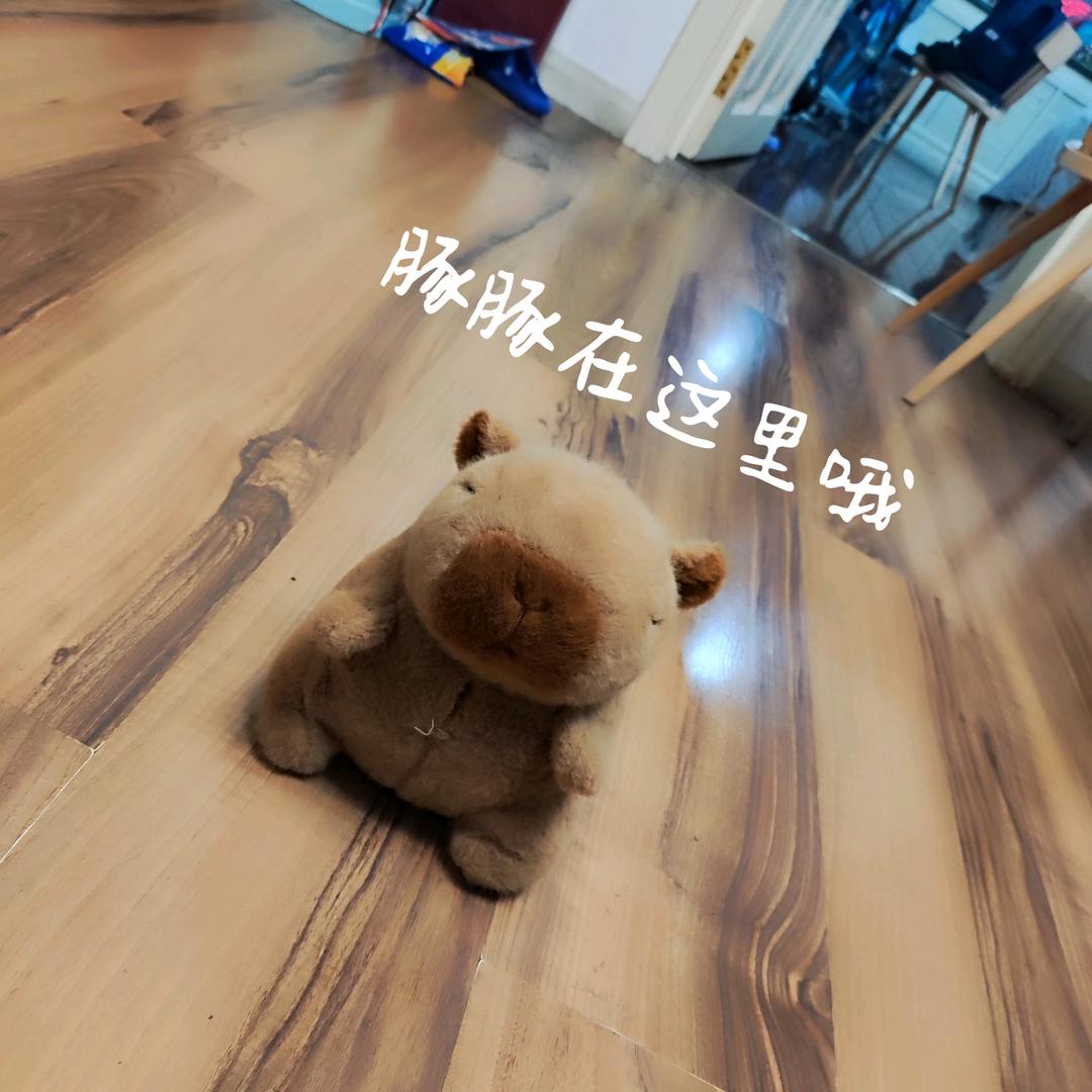 豚豚本豚