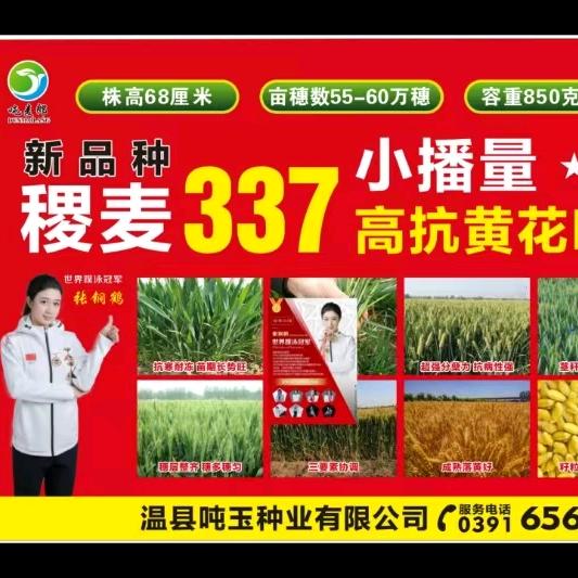 农资哥
