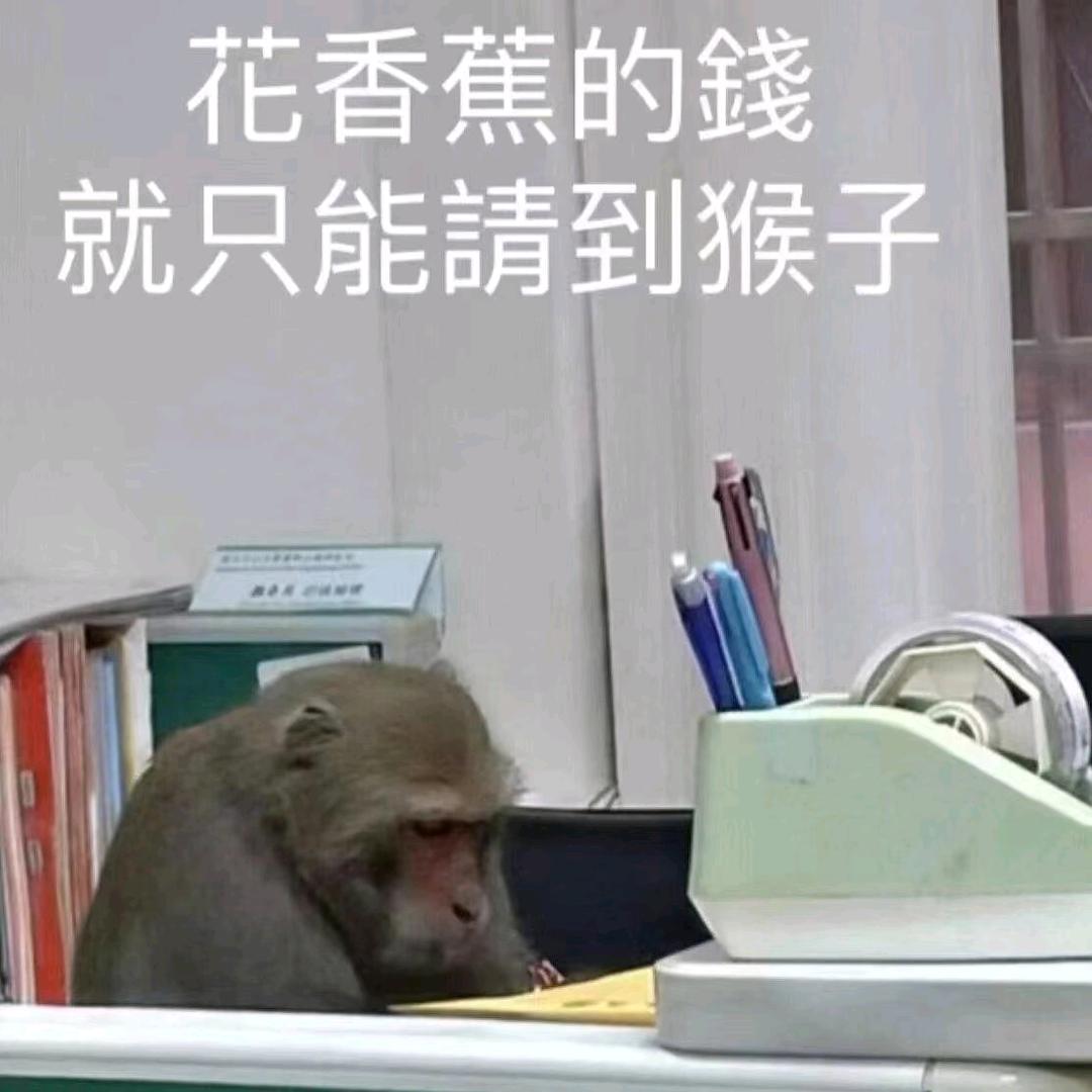 🌈唐尼