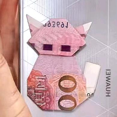 毛卯卯茂茂猫猫