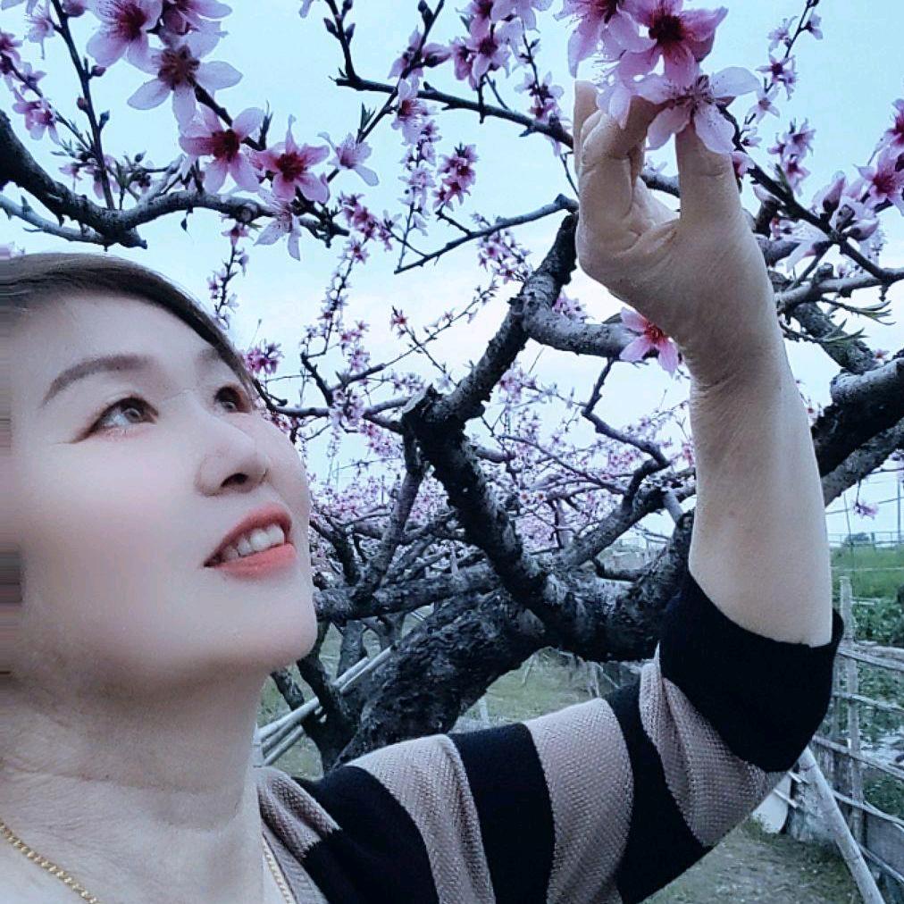 平安就好🇨🇳🍎