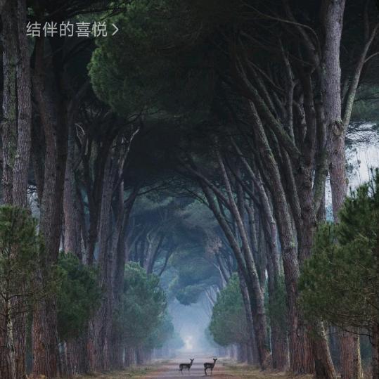 福