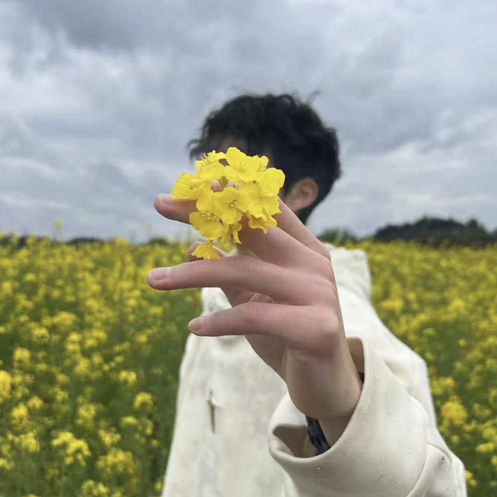西西里🧐