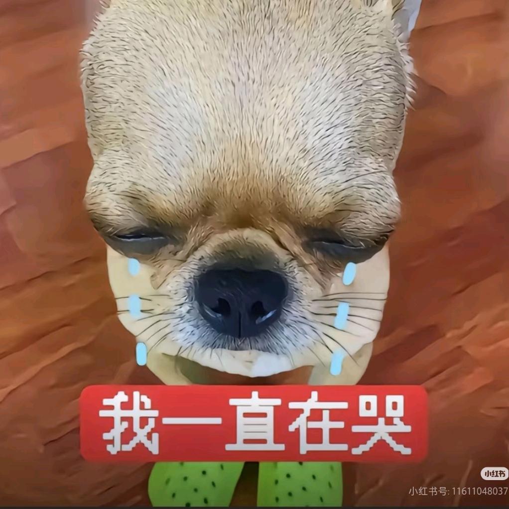路边的一摊臭狗屎