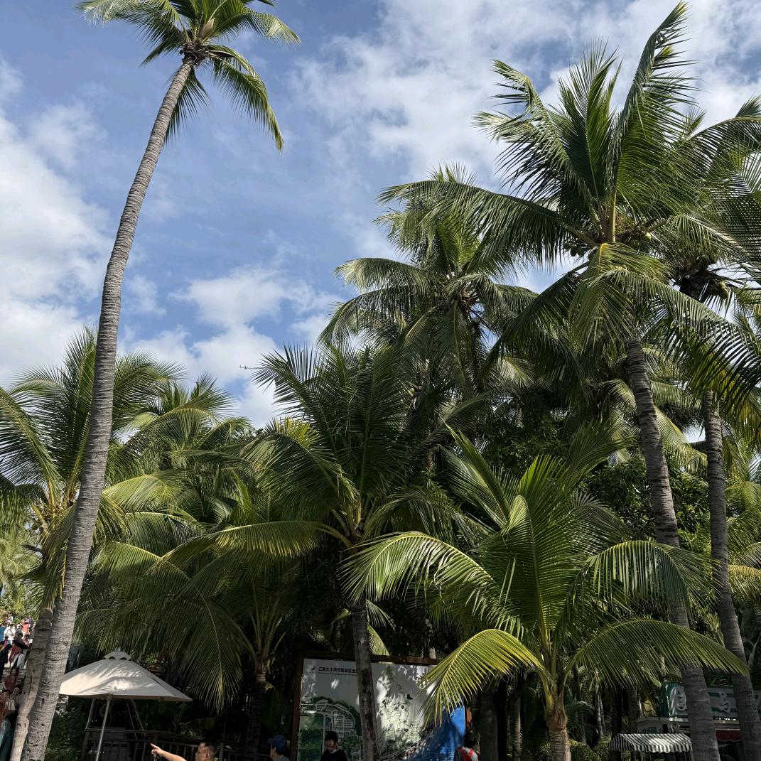 开心快乐每一天