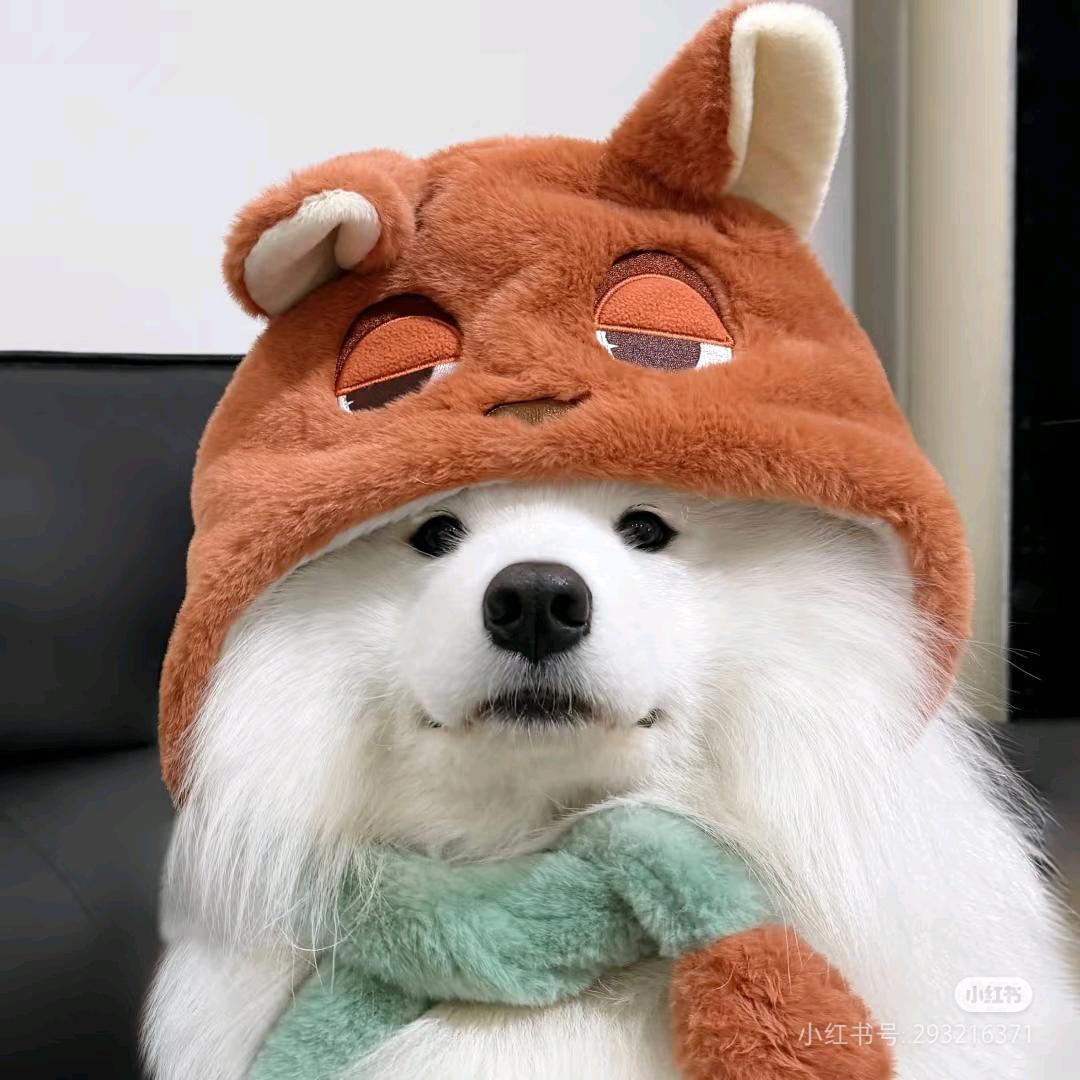 睡睡睡一周（黄子见过我版）