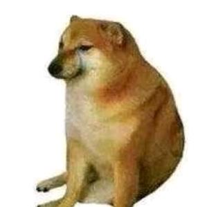 西红柿守恒定律