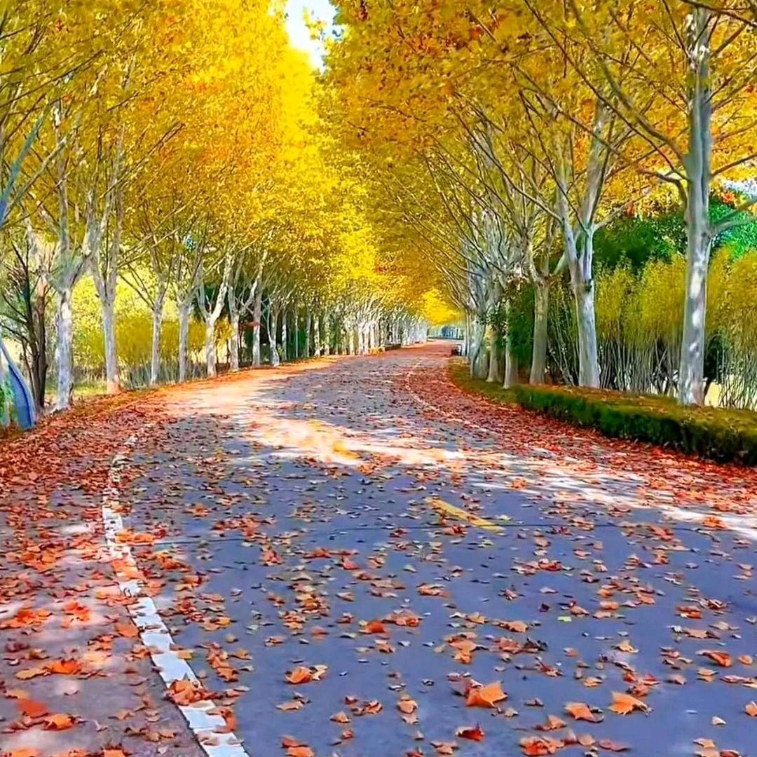 人生能有几次回首